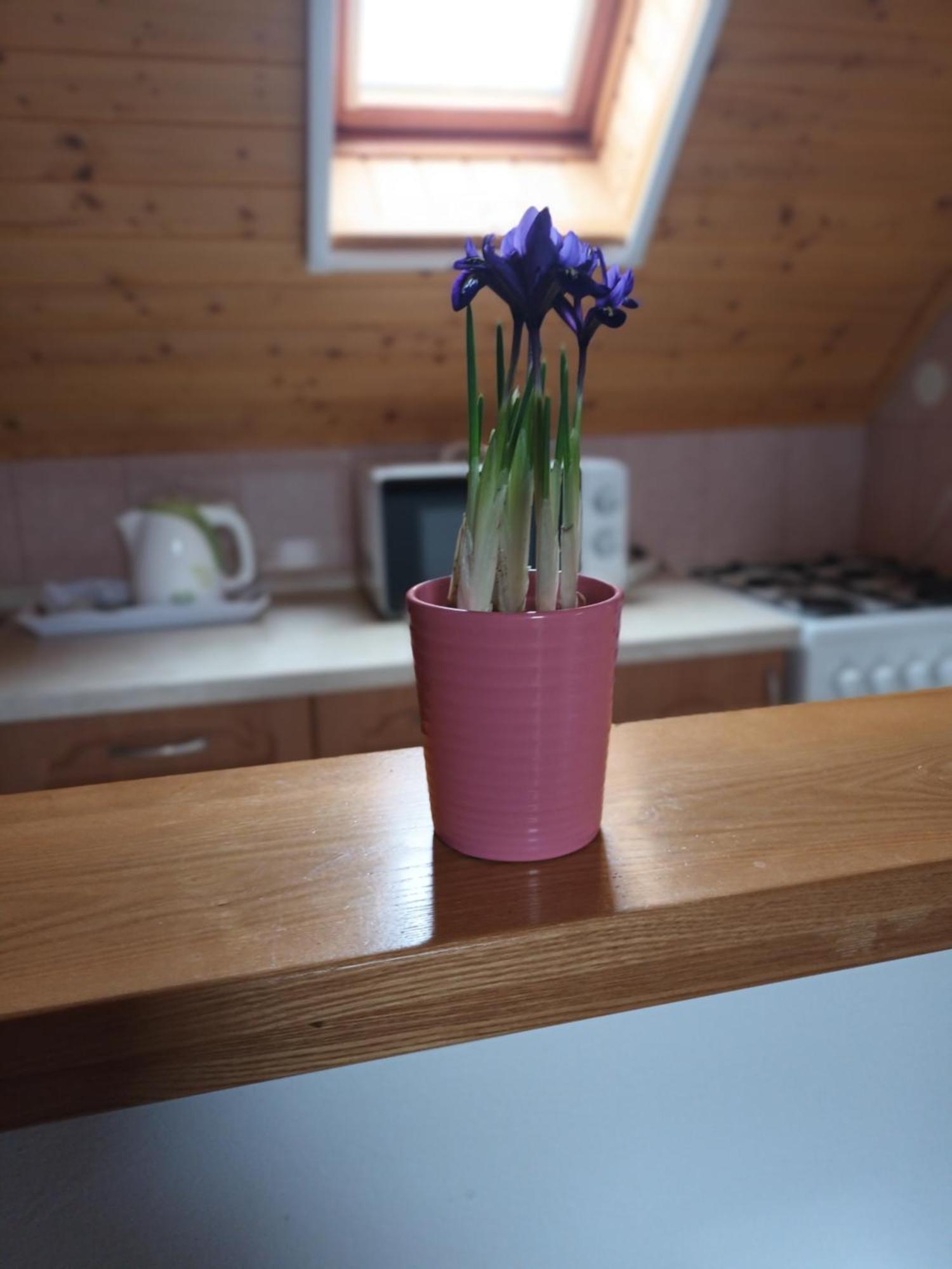 Keknefelejcs Vendeghaz Apartment Tapolca Luaran gambar