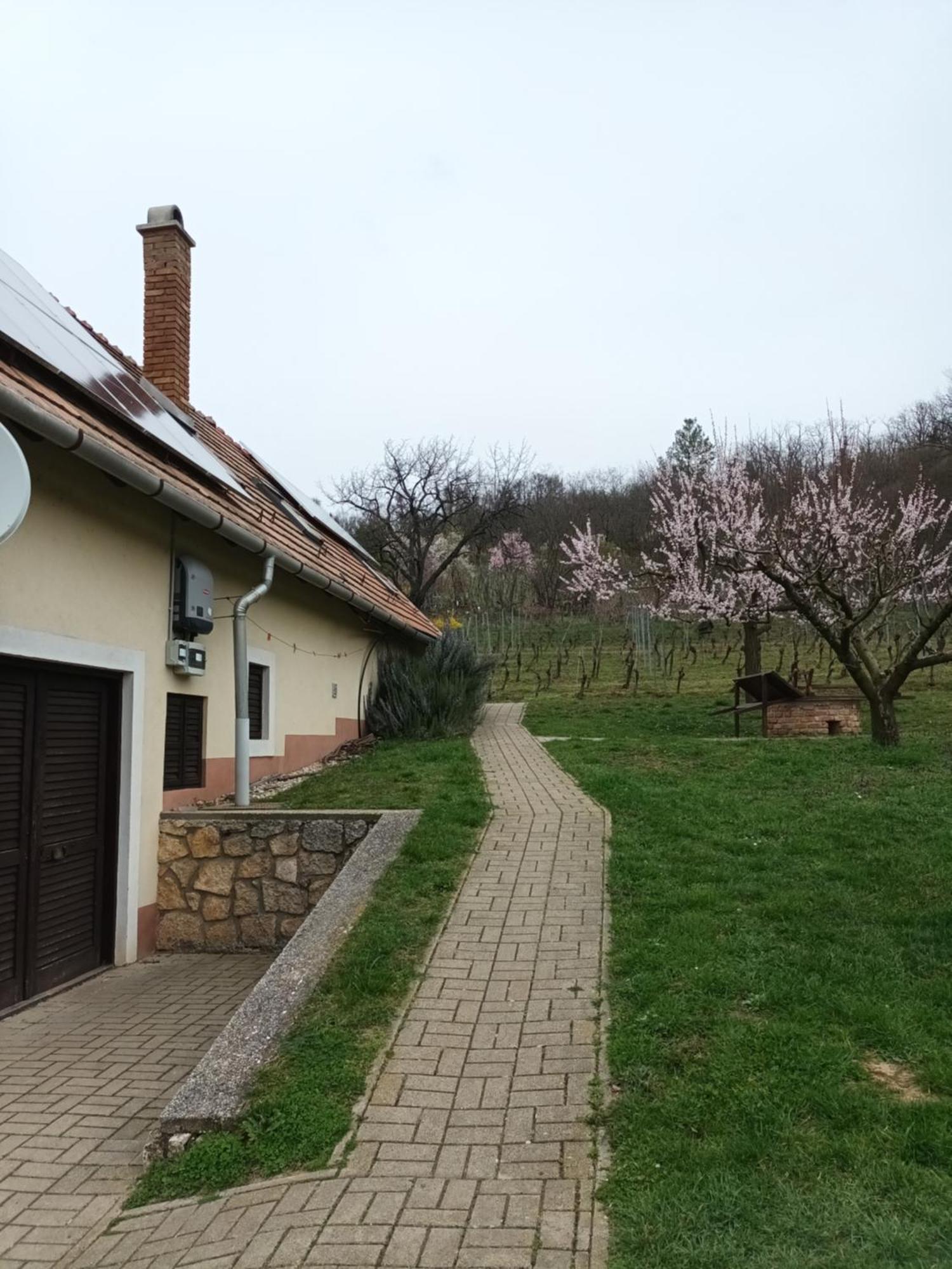 Keknefelejcs Vendeghaz Apartment Tapolca Luaran gambar